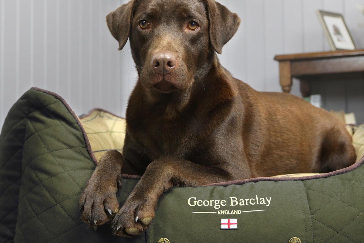 George Barclay Dog Beds