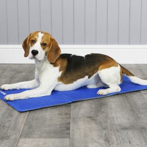 ClimaCOOL Self Cooling Dog Mat (Medium – Large)