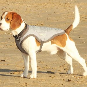 ClimaCOOL, Dog Cooling Jacket (Vest)