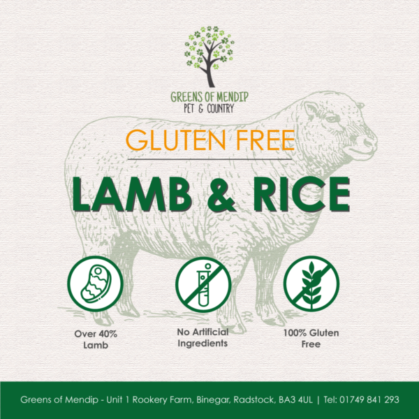 Gluten Free Lamb and Rice