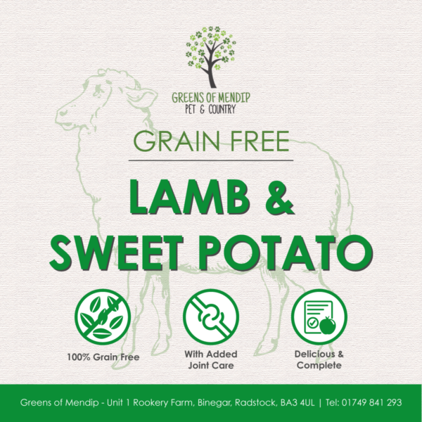 Grain Free Lamb and Sweet Potato