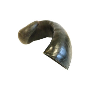 buffalo-horn-large
