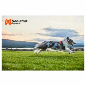 Non-Stop Dogwear LINE HARNESS 5.0 3