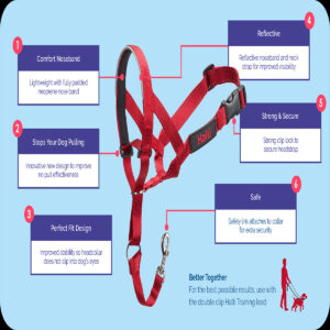 Halti_Headcollar_Size_Guide_1100-x-620pxupdate-Mar-22